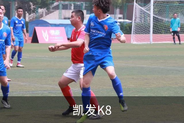 凯发K8公司介绍